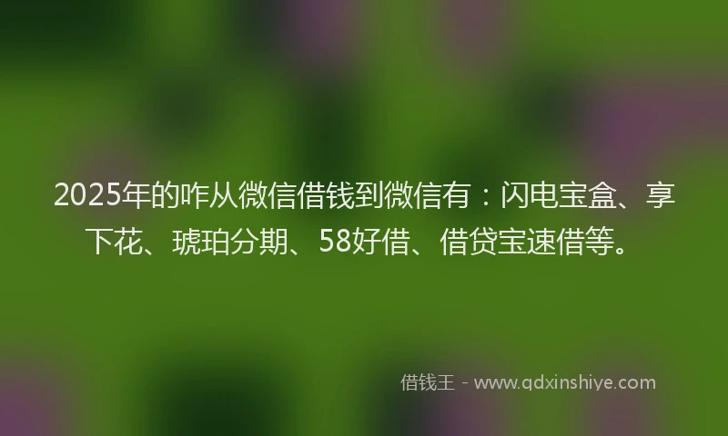 2025年的咋从微信借钱到微信有：闪电宝盒、享下花、琥珀分期、58好借、借贷宝速借等。