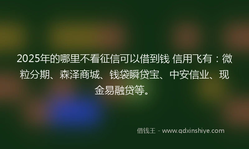 2025年的哪里不看征信可以借到钱 信用飞有：微粒分期、森泽商城、钱袋瞬贷宝、中安信业、现金易融贷等。