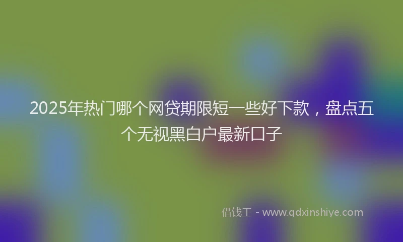 2025年热门哪个网贷期限短一些好下款，盘点五个无视黑白户最新口子