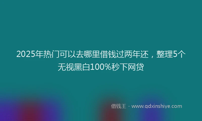 2025年热门可以去哪里借钱过两年还，整理5个无视黑白100%秒下网贷