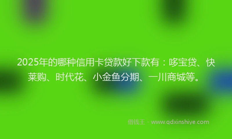 2025年的哪种信用卡贷款好下款有：哆宝贷、快莱购、时代花、小金鱼分期、一川商城等。