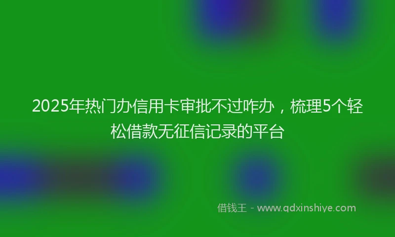 2025年热门办信用卡审批不过咋办，梳理5个轻松借款无征信记录的平台