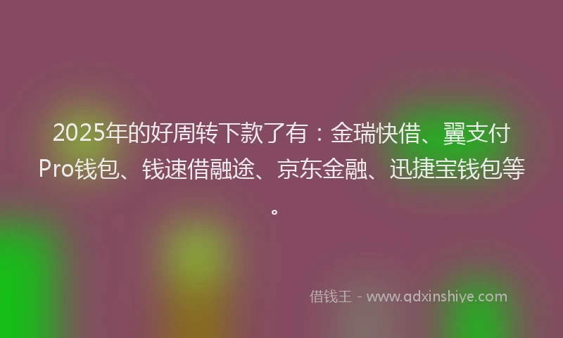 2025年的好周转下款了有：金瑞快借、翼支付Pro钱包、钱速借融途、京东金融、迅捷宝钱包等。