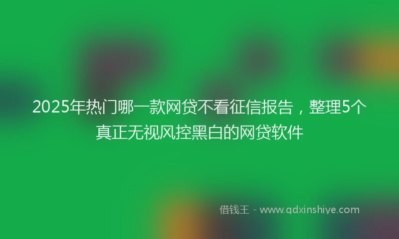 2025年热门哪一款网贷不看征信报告，整理5个真正无视风控黑白的网贷软件