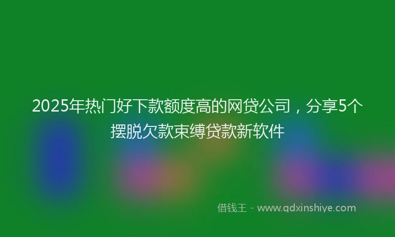 2025年热门好下款额度高的网贷公司，分享5个摆脱欠款束缚贷款新软件