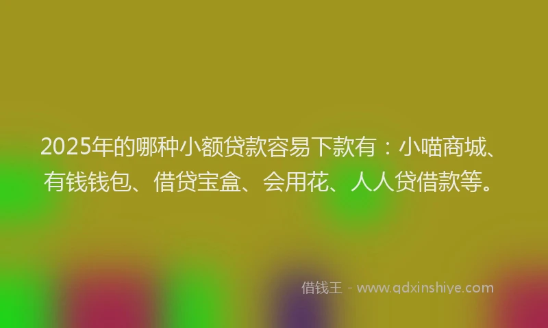 2025年的哪种小额贷款容易下款有：小喵商城、有钱钱包、借贷宝盒、会用花、人人贷借款等。
