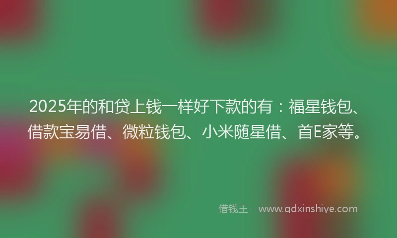 2025年的和贷上钱一样好下款的有：福星钱包、借款宝易借、微粒钱包、小米随星借、首E家等。