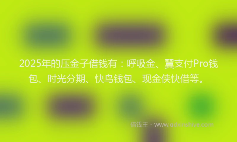 2025年的压金子借钱有：呼吸金、翼支付Pro钱包、时光分期、快鸟钱包、现金侠快借等。