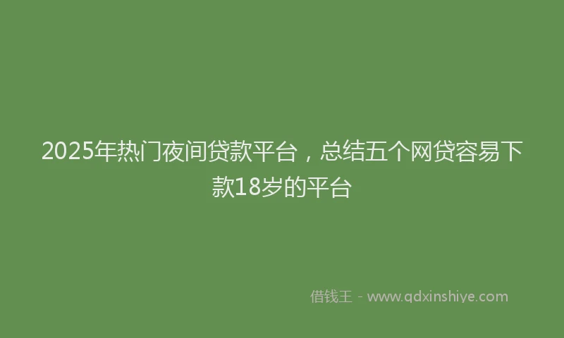 2025年热门夜间贷款平台，总结五个网贷容易下款18岁的平台
