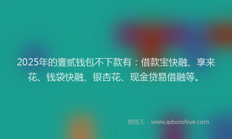 2025年的壹贰钱包不下款有：借款宝快融、享来花、钱袋快融、银杏花、现金贷易借融等。