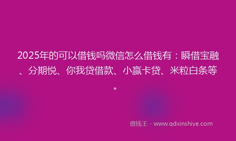 2025年的可以借钱吗微信怎么借钱有：瞬借宝融、分期悦、你我贷借款、小赢卡贷、米粒白条等。