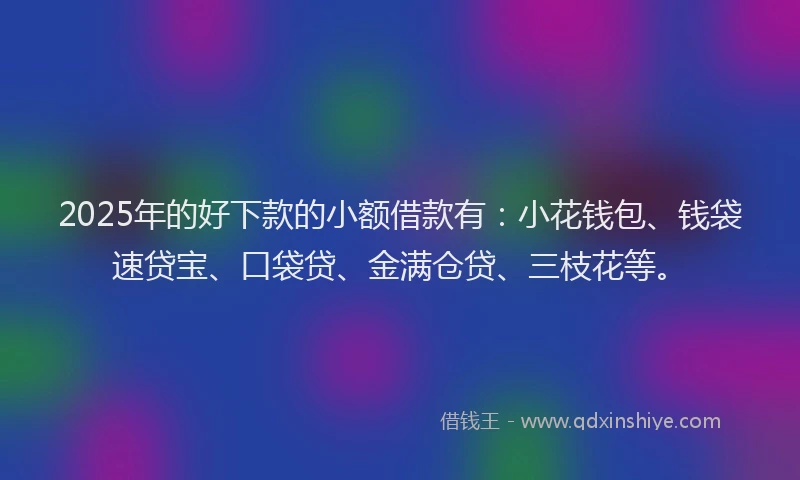 2025年的好下款的小额借款有：小花钱包、钱袋速贷宝、口袋贷、金满仓贷、三枝花等。