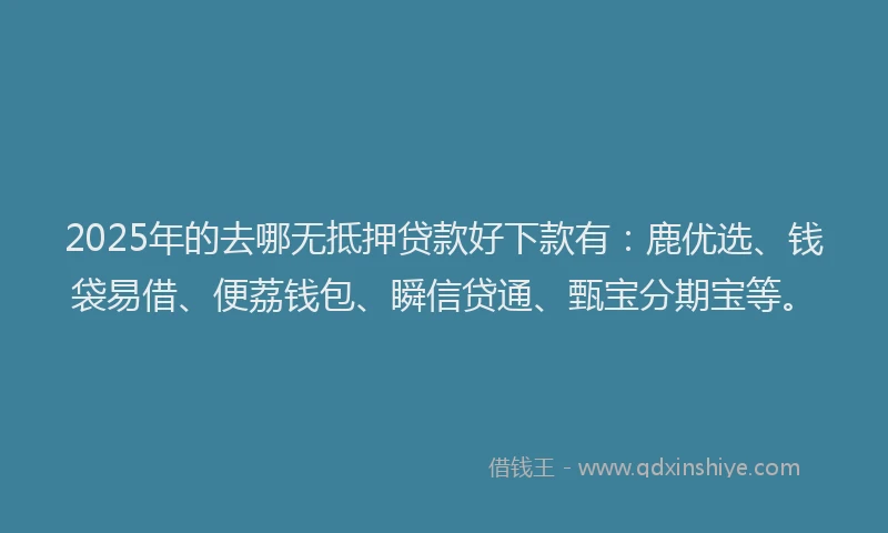 2025年的去哪无抵押贷款好下款有：鹿优选、钱袋易借、便荔钱包、瞬信贷通、甄宝分期宝等。