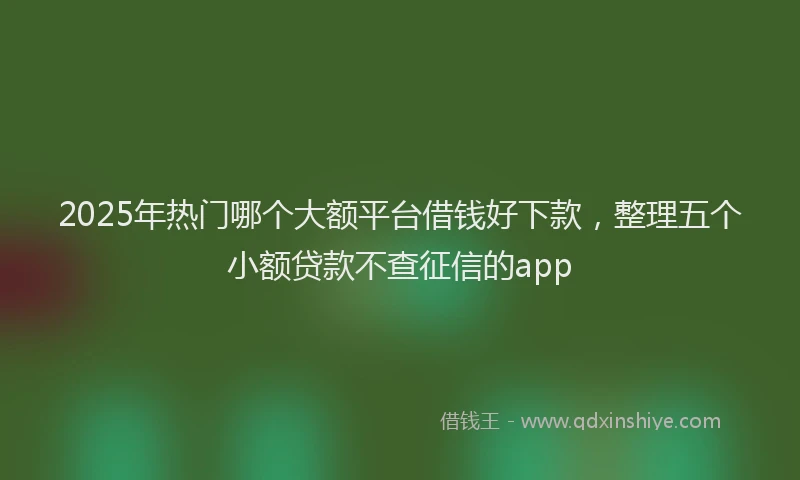 2025年热门哪个大额平台借钱好下款，整理五个小额贷款不查征信的app