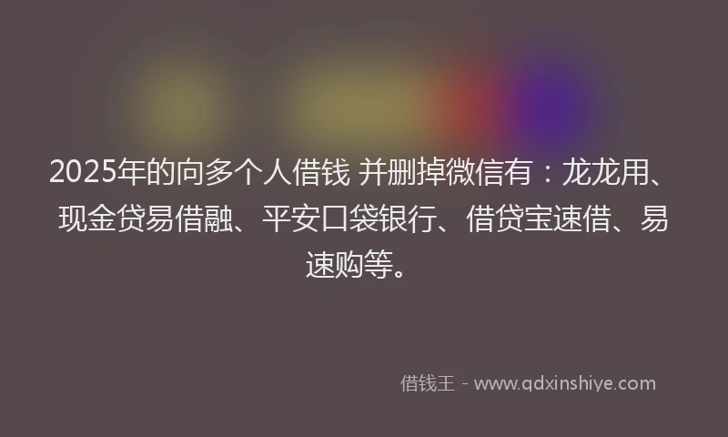 2025年的向多个人借钱 并删掉微信有：龙龙用、现金贷易借融、平安口袋银行、借贷宝速借、易速购等。