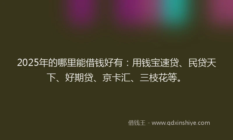 2025年的哪里能借钱好有：用钱宝速贷、民贷天下、好期贷、京卡汇、三枝花等。