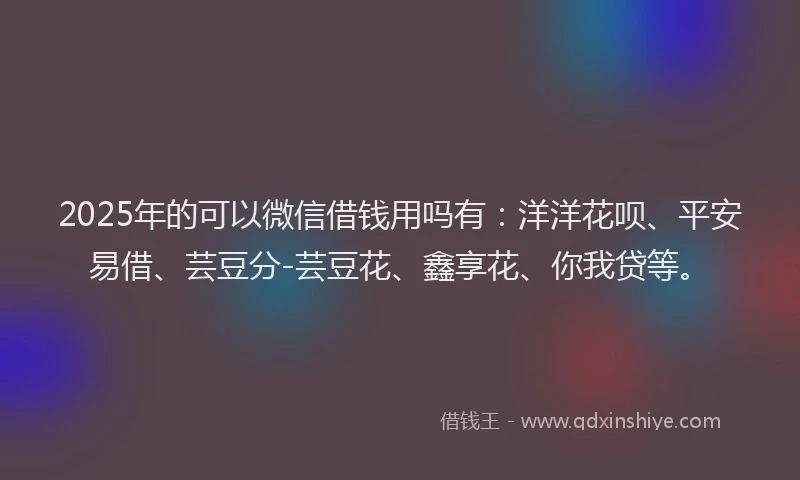 2025年的可以微信借钱用吗有：洋洋花呗、平安易借、芸豆分-芸豆花、鑫享花、你我贷等。