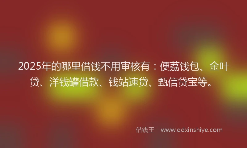 2025年的哪里借钱不用审核有：便荔钱包、金叶贷、洋钱罐借款、钱站速贷、甄信贷宝等。