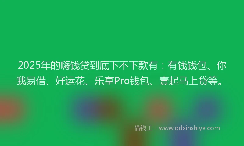 2025年的嗨钱贷到底下不下款有：有钱钱包、你我易借、好运花、乐享Pro钱包、壹起马上贷等。