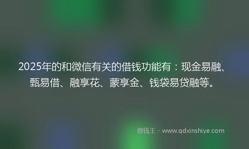 2025年的和微信有关的借钱功能有：现金易融、甄易借、融享花、蒙享金、钱袋易贷融等。
