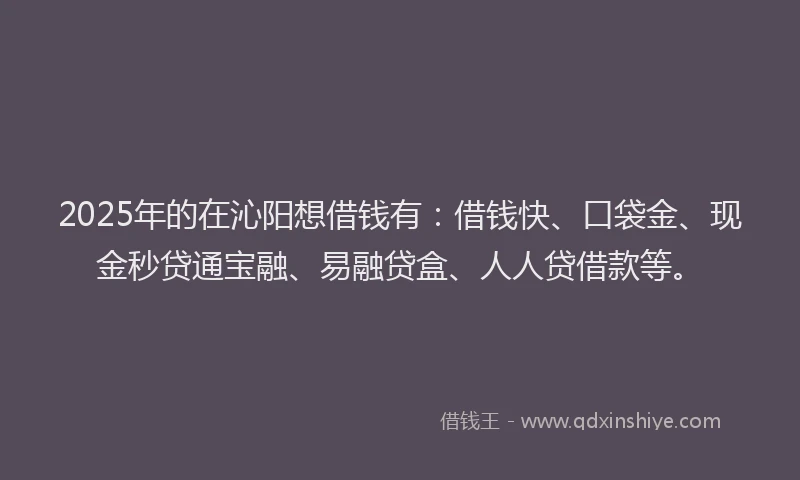 2025年的在沁阳想借钱有：借钱快、口袋金、现金秒贷通宝融、易融贷盒、人人贷借款等。
