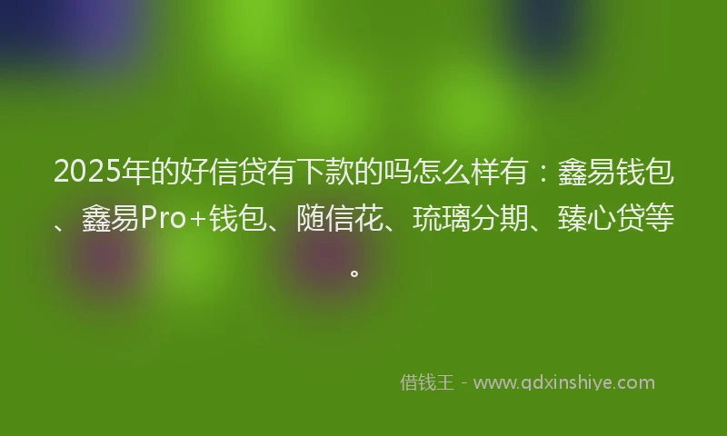 2025年的好信贷有下款的吗怎么样有：鑫易钱包、鑫易Pro+钱包、随信花、琉璃分期、臻心贷等。