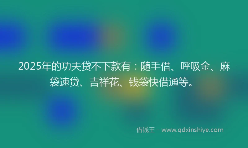 2025年的功夫贷不下款有：随手借、呼吸金、麻袋速贷、吉祥花、钱袋快借通等。