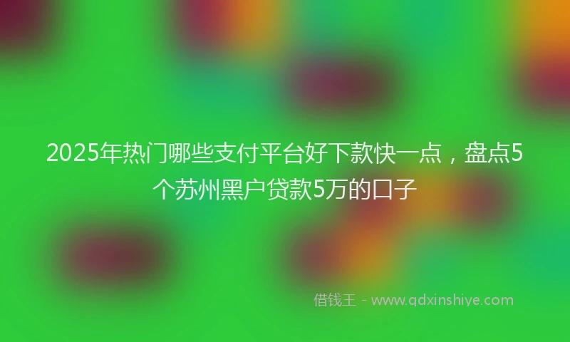 2025年热门哪些支付平台好下款快一点，盘点5个苏州黑户贷款5万的口子