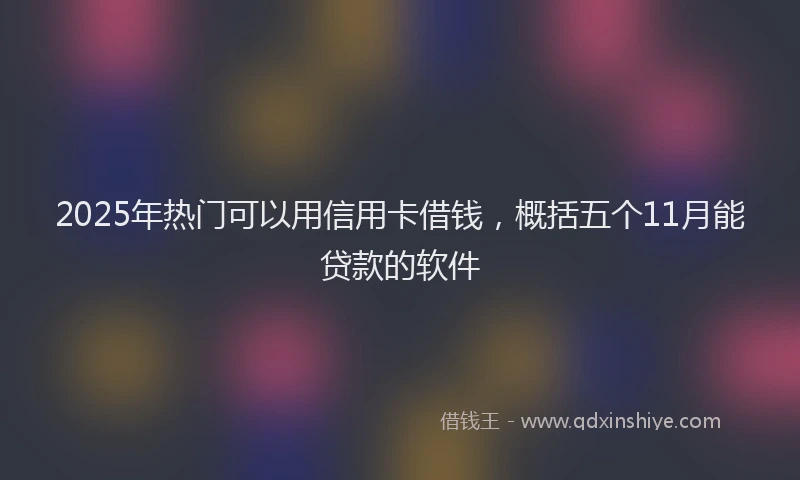 2025年热门可以用信用卡借钱，概括五个11月能贷款的软件