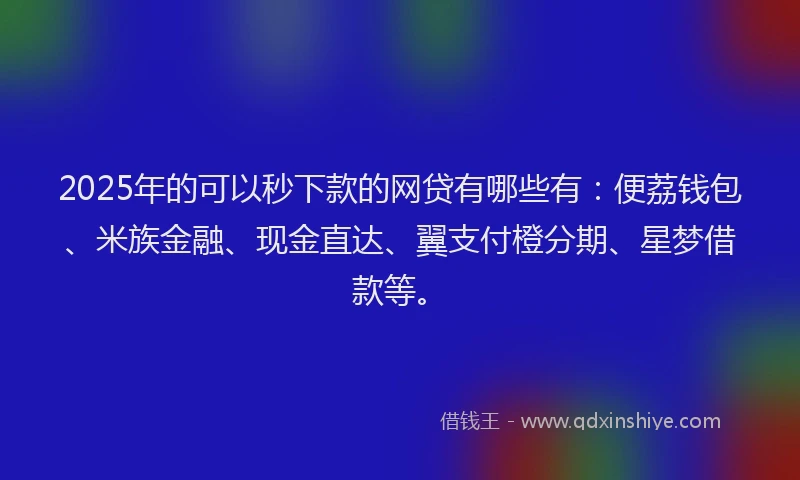 2025年的可以秒下款的网贷有哪些有：便荔钱包、米族金融、现金直达、翼支付橙分期、星梦借款等。