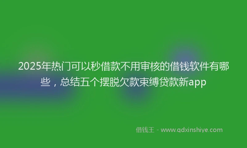 2025年热门可以秒借款不用审核的借钱软件有哪些，总结五个摆脱欠款束缚贷款新app