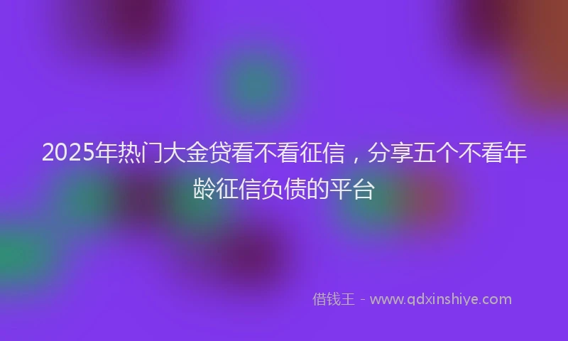 2025年热门大金贷看不看征信，分享五个不看年龄征信负债的平台