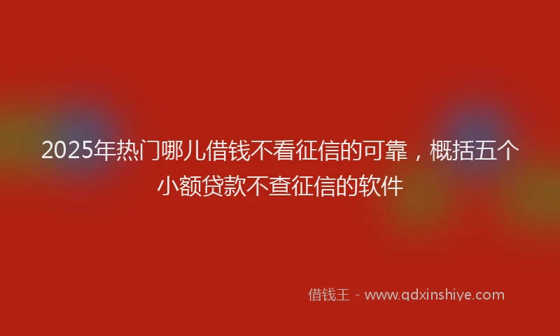 2025年热门哪儿借钱不看征信的可靠，概括五个小额贷款不查征信的软件