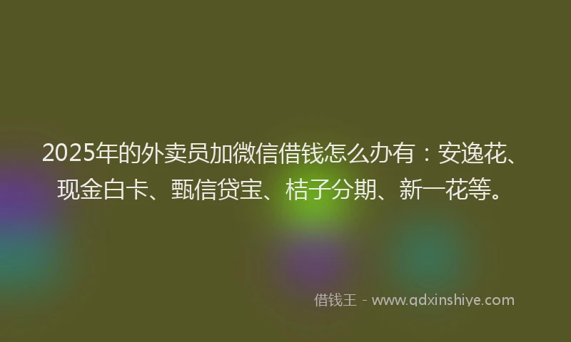 2025年的外卖员加微信借钱怎么办有：安逸花、现金白卡、甄信贷宝、桔子分期、新一花等。