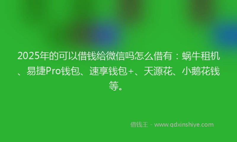 2025年的可以借钱给微信吗怎么借有：蜗牛租机、易捷Pro钱包、速享钱包+、天源花、小鹅花钱等。