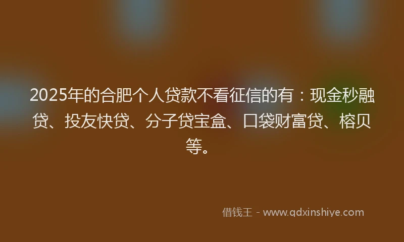 2025年的合肥个人贷款不看征信的有：现金秒融贷、投友快贷、分子贷宝盒、口袋财富贷、榕贝等。