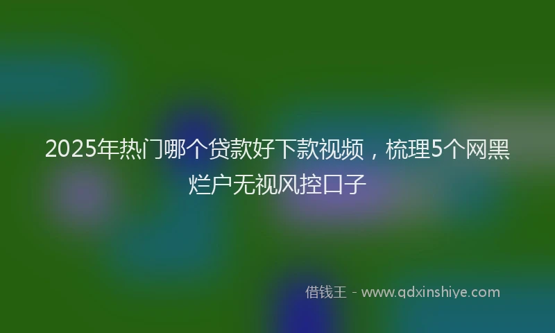 2025年热门哪个贷款好下款视频，梳理5个网黑烂户无视风控口子