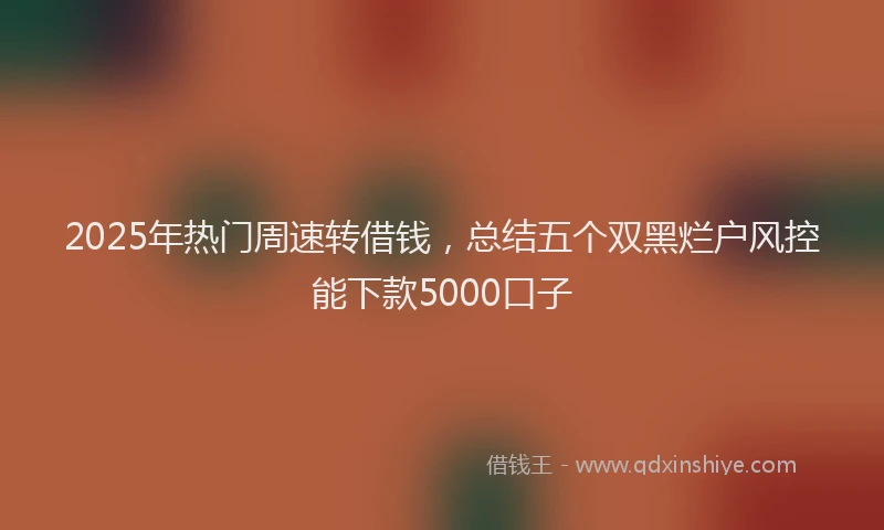 2025年热门周速转借钱，总结五个双黑烂户风控能下款5000口子