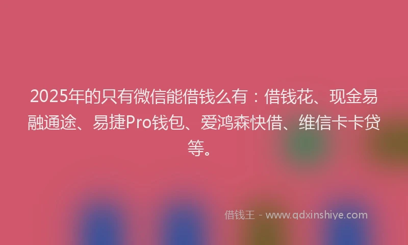 2025年的只有微信能借钱么有：借钱花、现金易融通途、易捷Pro钱包、爱鸿森快借、维信卡卡贷等。