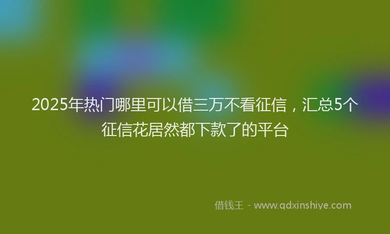 2025年热门哪里可以借三万不看征信，汇总5个征信花居然都下款了的平台