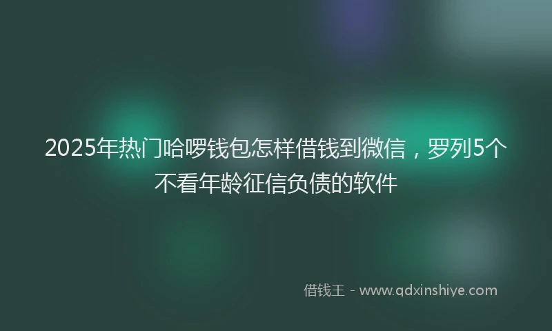 2025年热门哈啰钱包怎样借钱到微信，罗列5个不看年龄征信负债的软件
