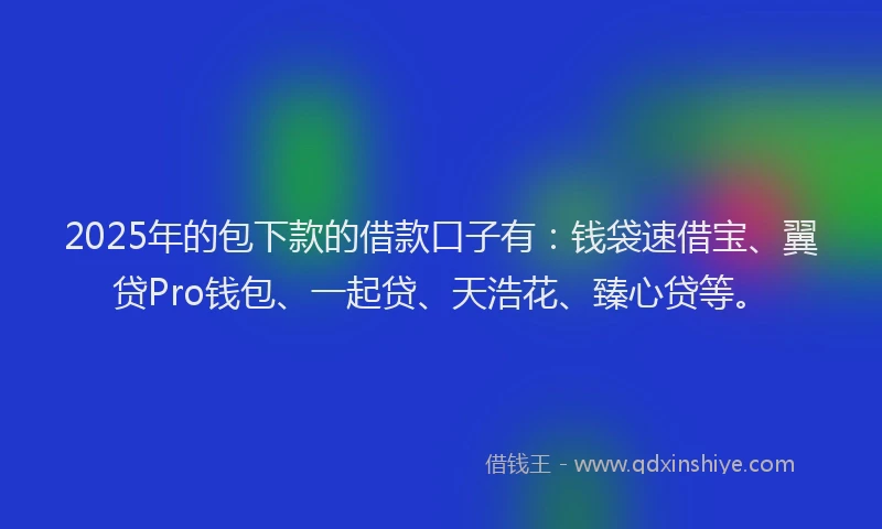 2025年的包下款的借款口子有：钱袋速借宝、翼贷Pro钱包、一起贷、天浩花、臻心贷等。