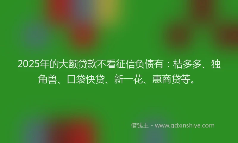 2025年的大额贷款不看征信负债有：桔多多、独角兽、口袋快贷、新一花、惠商贷等。