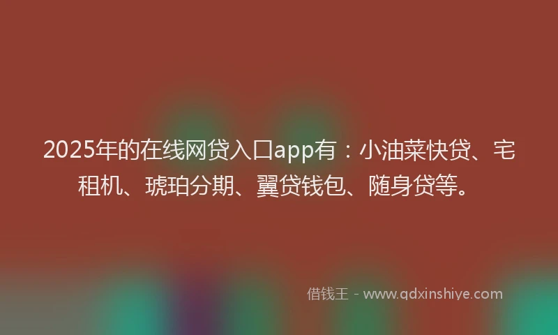 2025年的在线网贷入口app有：小油菜快贷、宅租机、琥珀分期、翼贷钱包、随身贷等。