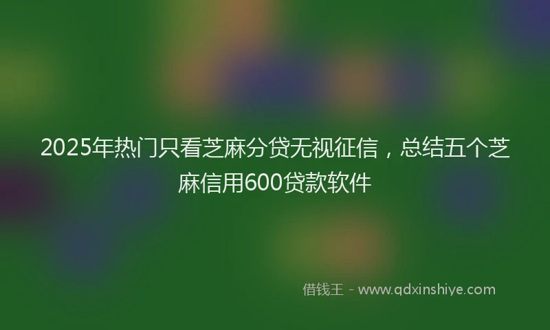 2025年热门只看芝麻分贷无视征信，总结五个芝麻信用600贷款软件