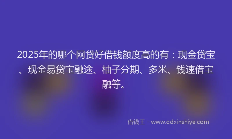 2025年的哪个网贷好借钱额度高的有：现金贷宝、现金易贷宝融途、柚子分期、多米、钱速借宝融等。
