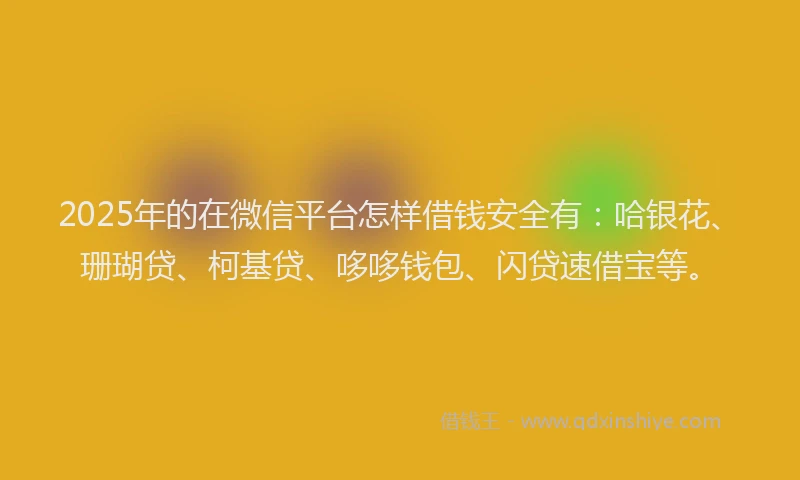 2025年的在微信平台怎样借钱安全有：哈银花、珊瑚贷、柯基贷、哆哆钱包、闪贷速借宝等。