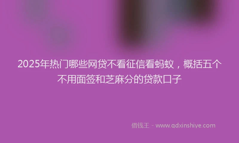 2025年热门哪些网贷不看征信看蚂蚁，概括五个不用面签和芝麻分的贷款口子