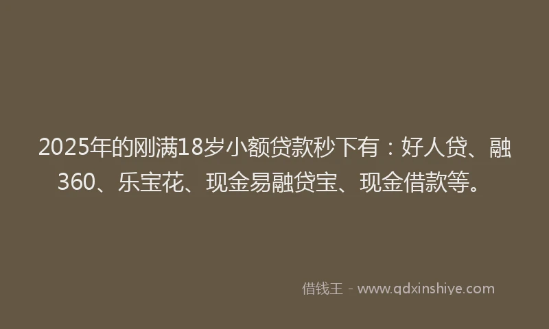 2025年的刚满18岁小额贷款秒下有：好人贷、融360、乐宝花、现金易融贷宝、现金借款等。