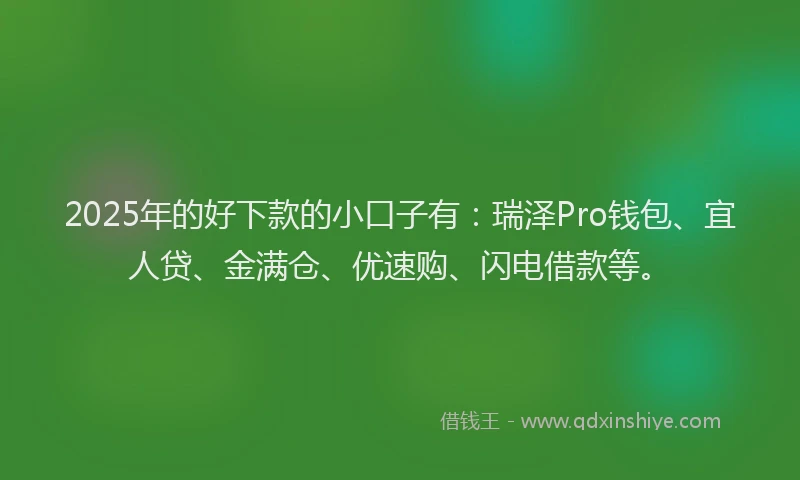 2025年的好下款的小口子有：瑞泽Pro钱包、宜人贷、金满仓、优速购、闪电借款等。
